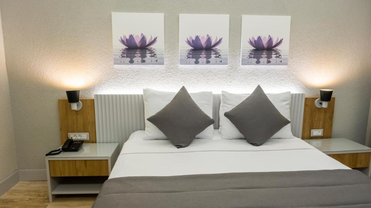 Ariel Hotel 阿拉恰特 外观 照片
